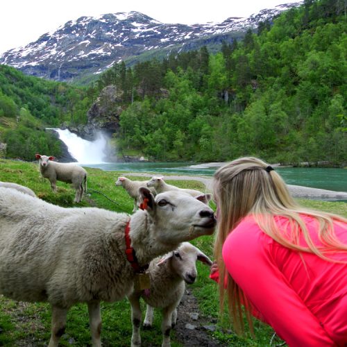 Bike, hike, fishing - Bjørlifossen