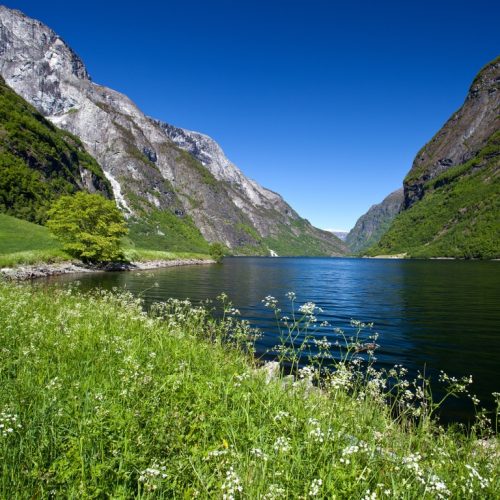 Nærøyfjorden