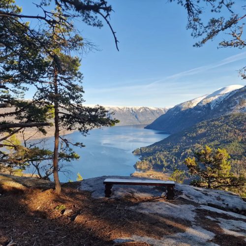 Norwegian fjord - Tour