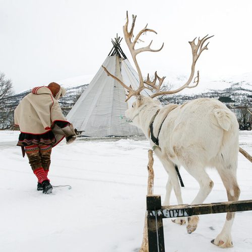The indigenous Sami people
