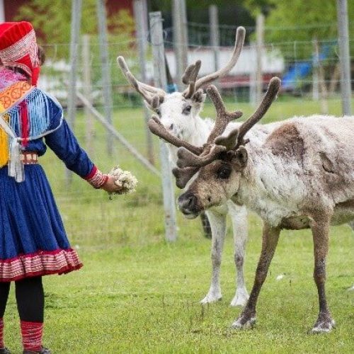 The indigenous Sami people